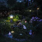 Sommerabend in meinem Garten