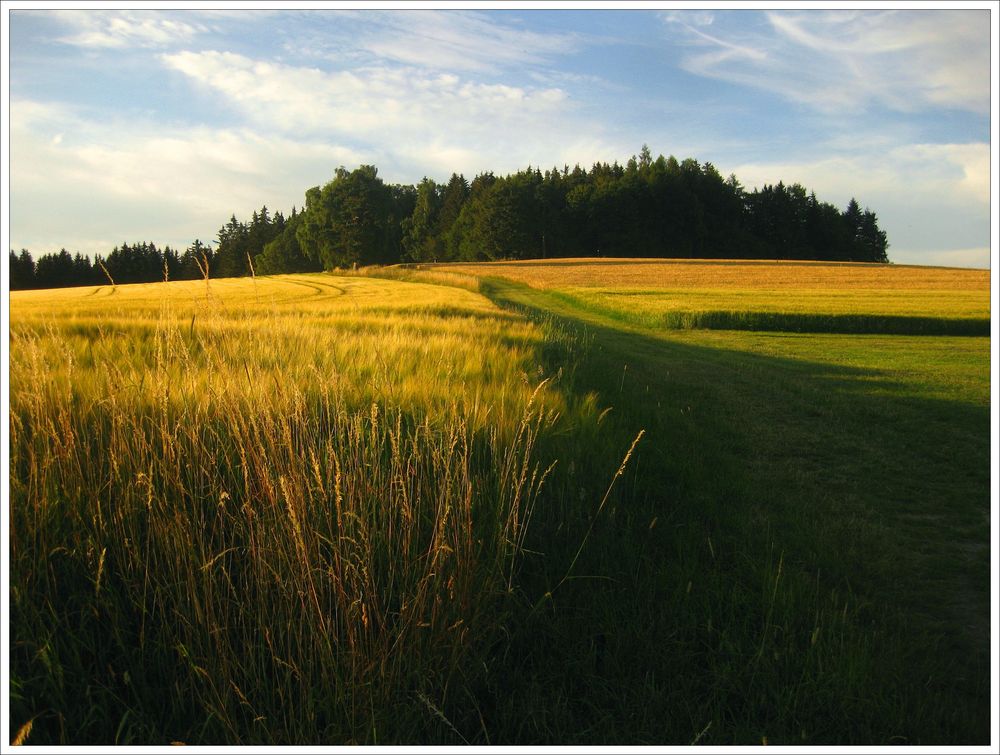 Sommerabend in Oberfranken