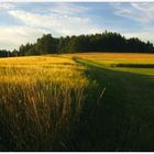 Sommerabend in Oberfranken