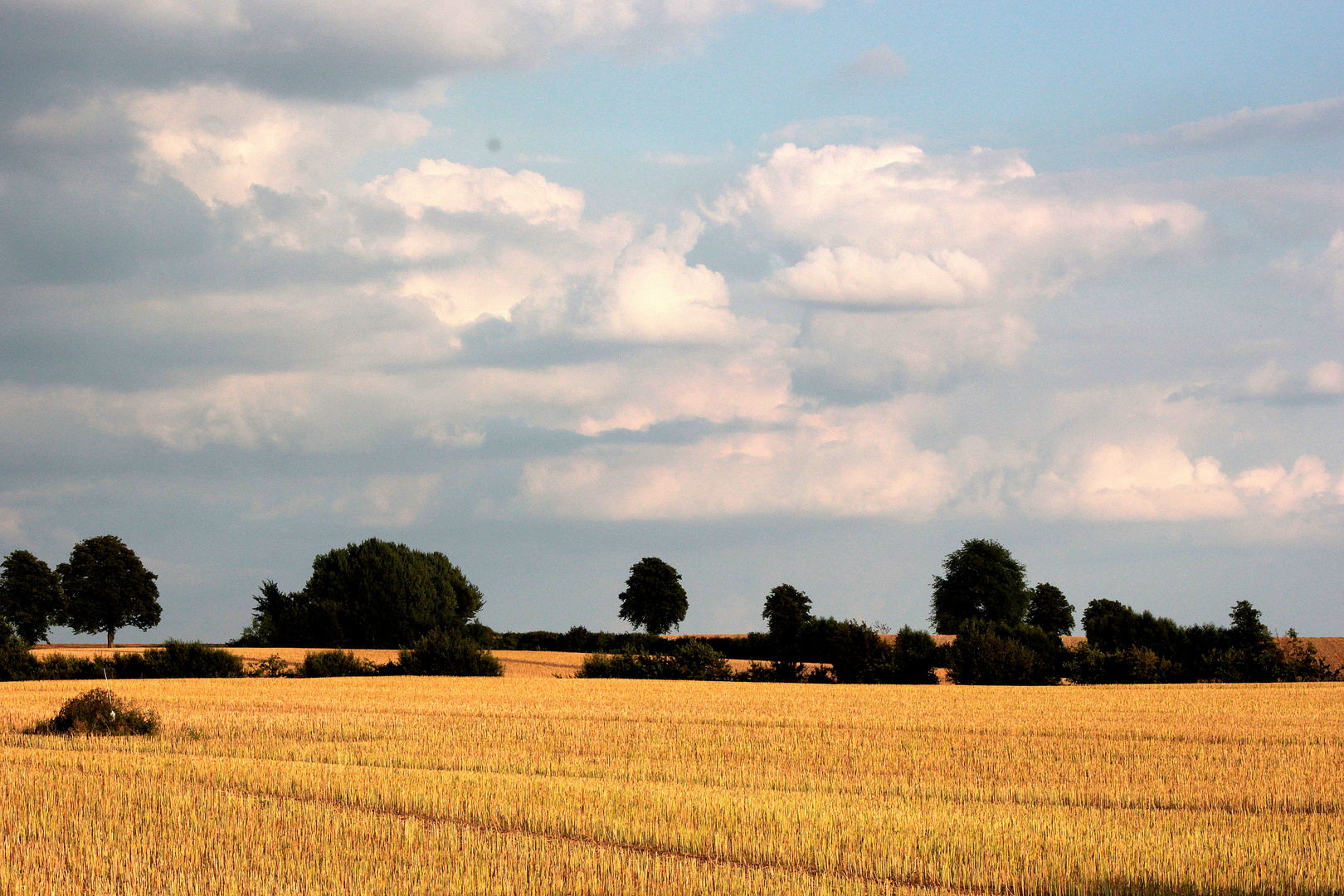 Sommerabend in Schleswig-Holstein