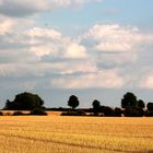 Sommerabend in Schleswig-Holstein