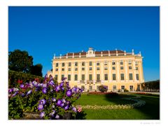 Sommerabend in Schönbrunn