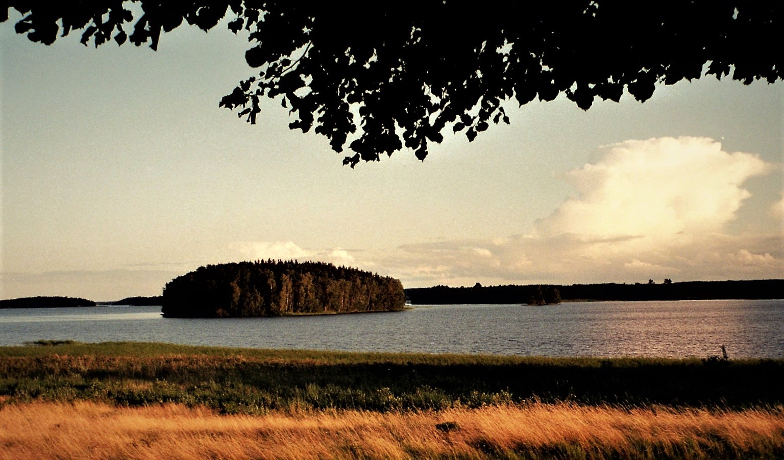 Sommerabend in Schweden