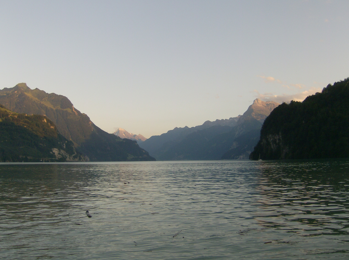 Sommerabend in Sisikon am Urnersee