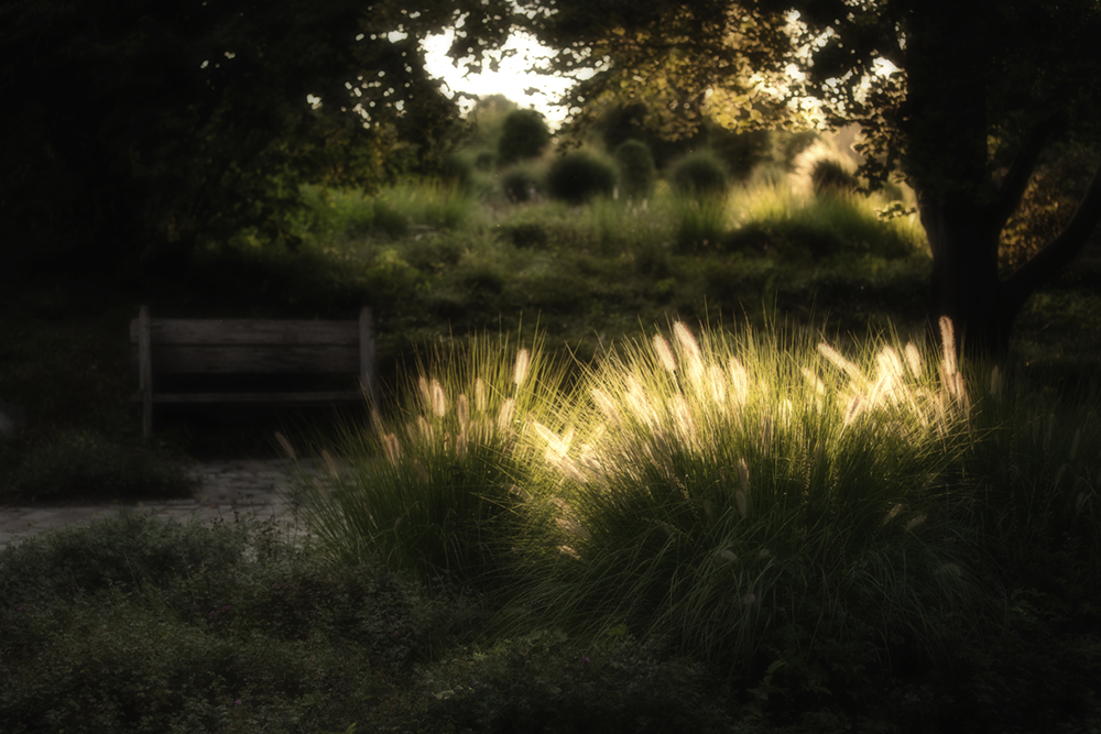 sommerabend in wandlitz