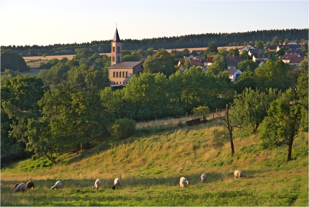 Sommerabend (IV) - Schafe zählen