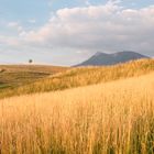 Sommerabend mit Blick auf die Rigi