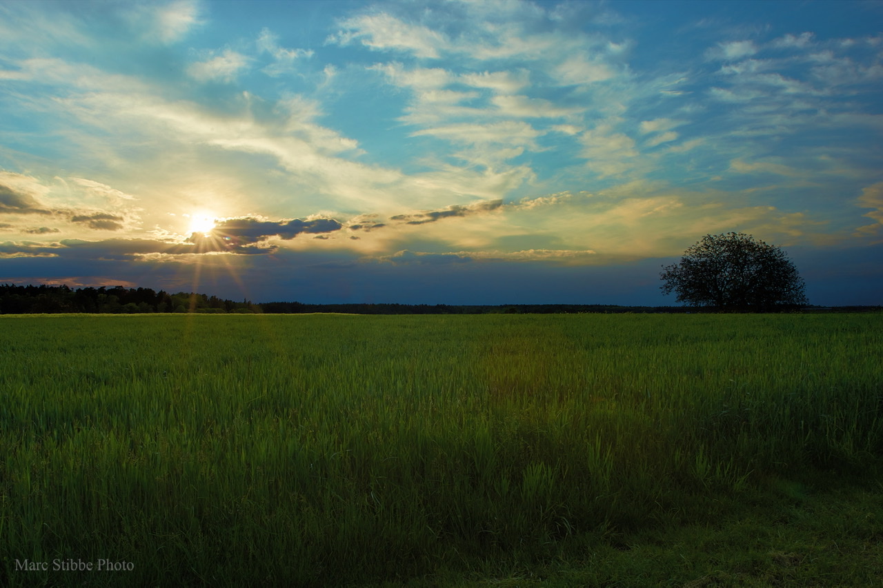 Sommerabend Stimmung 