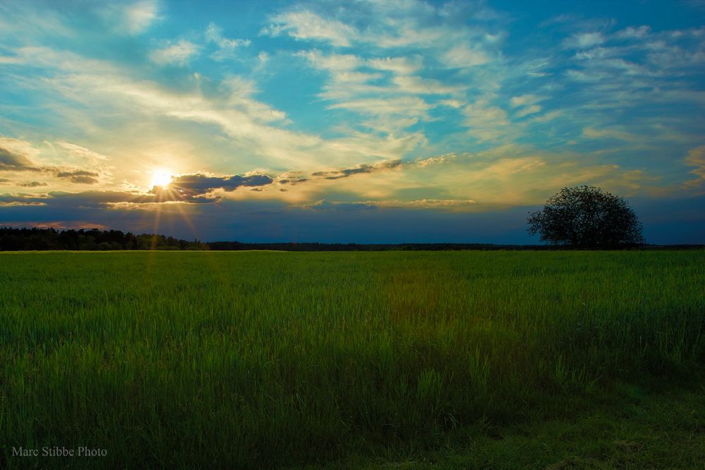 Sommerabend Stimmung 