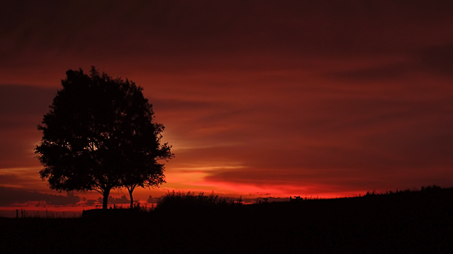 SommerAbendStimmung