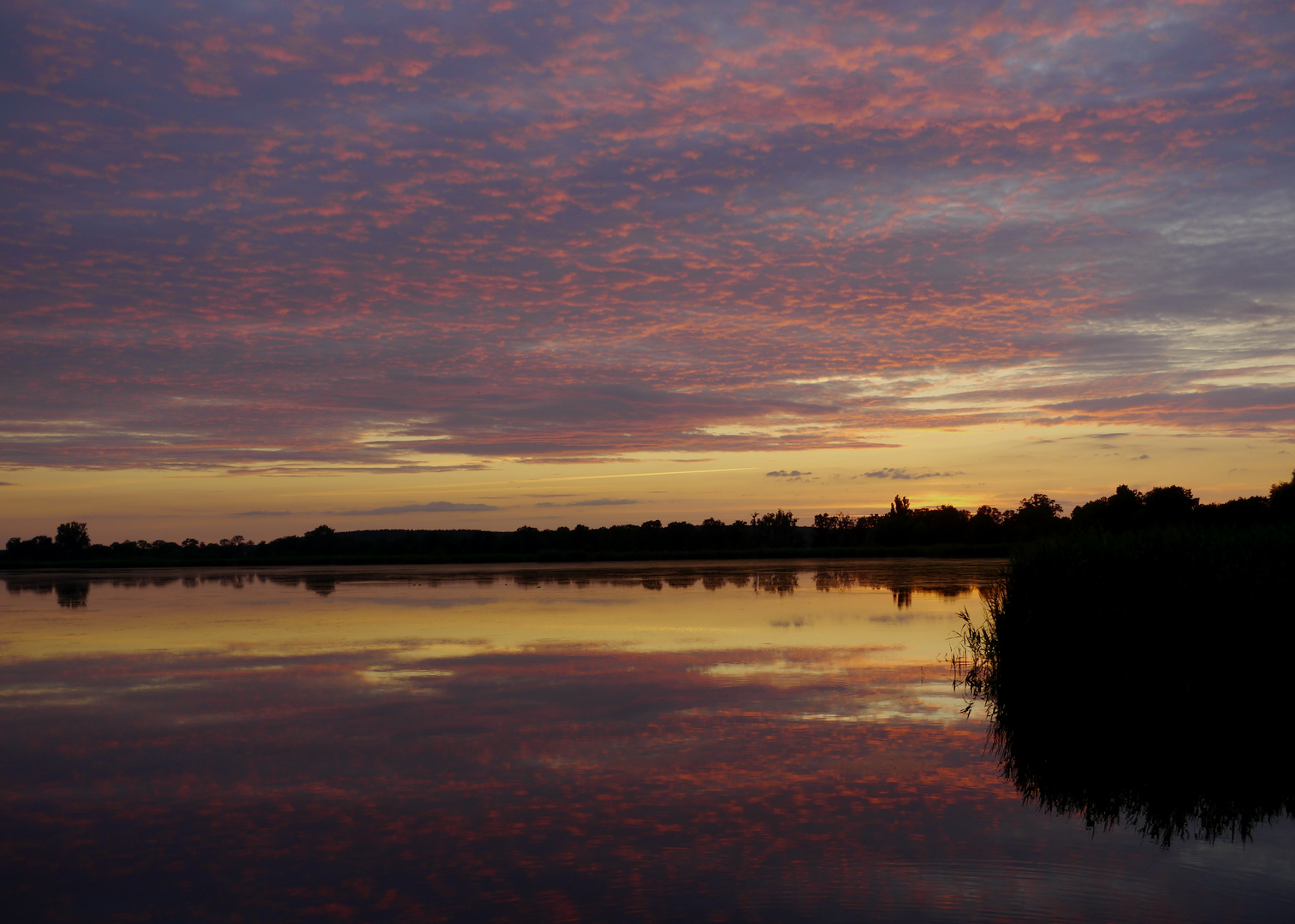 Sommerabendtraum