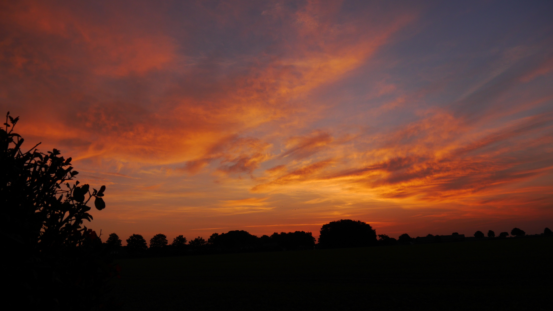 Sommerabendtraum in rot