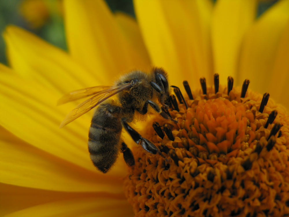 Sommerabschied