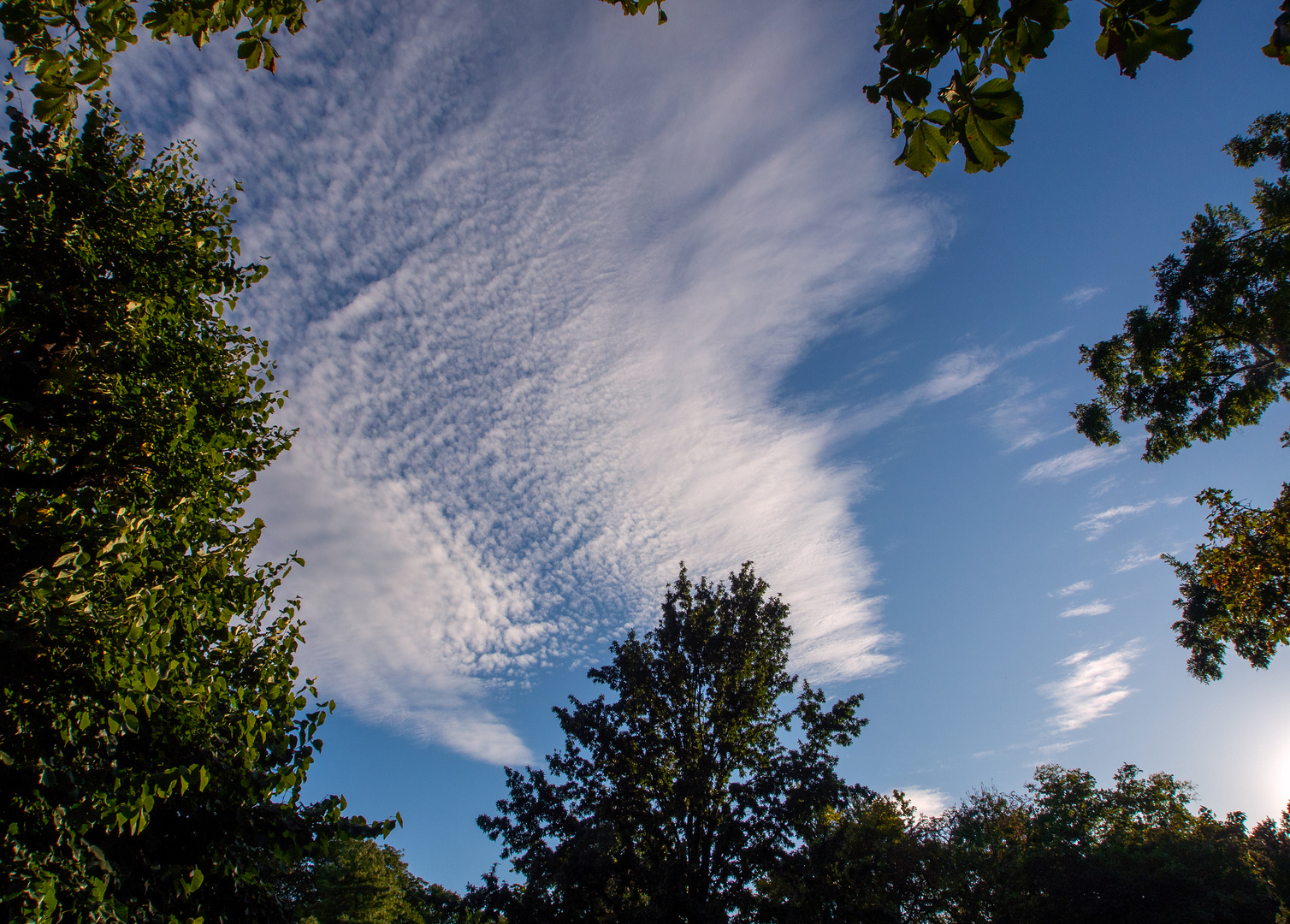 sommerabschied