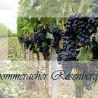 Sommeracher Rosenberg...