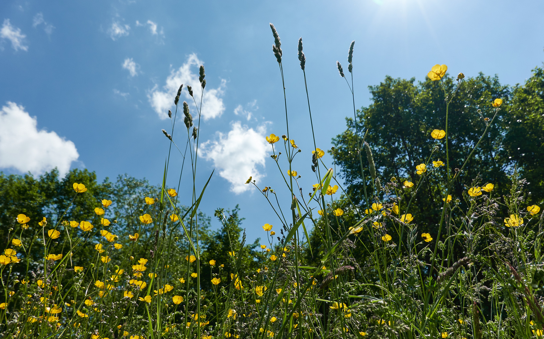 Sommeranfang