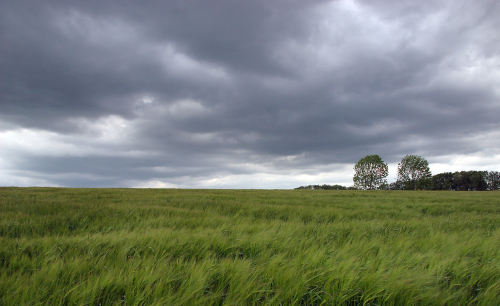 Sommeranfang