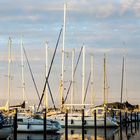 Sommeranfang am Barther Hafen