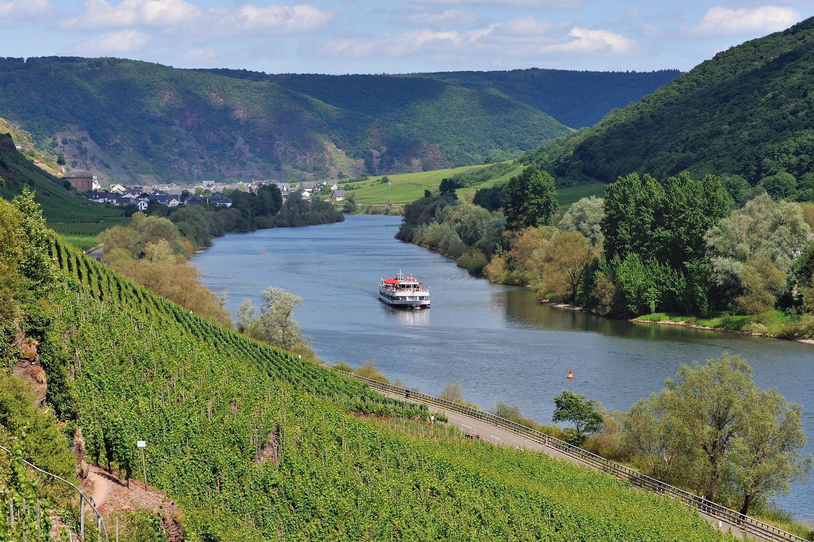 *Sommeranfang an der Mosel*