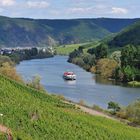 *Sommeranfang an der Mosel*