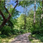 Sommeranfang - blauer Himmel und warm