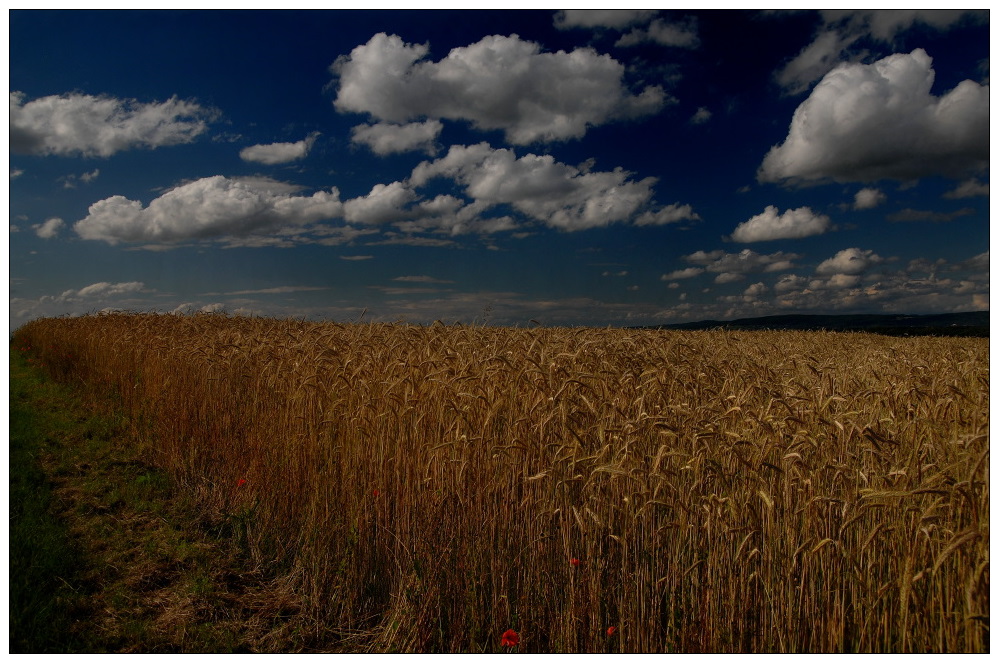 Sommeranfang