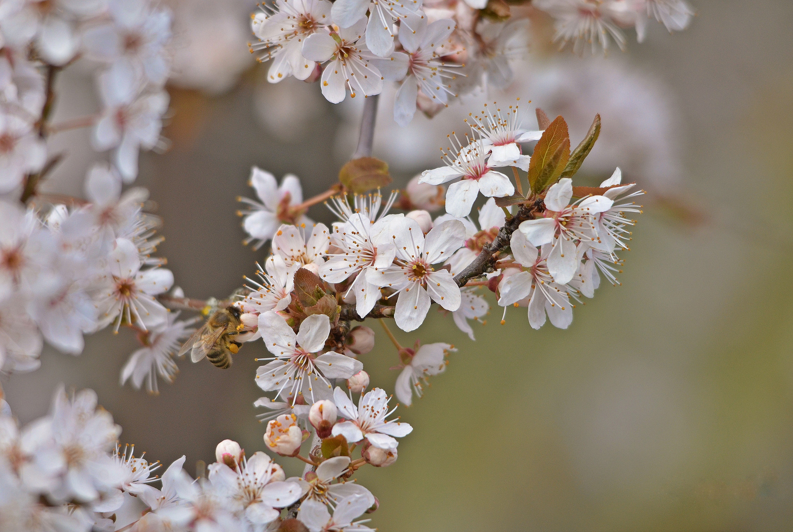 Sommeranfang Im April