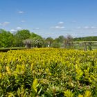 Sommeranfang im Park auf der Rosenhöhe in Darmstadt