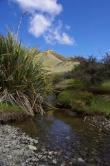 Sommeranfang Neuseeland