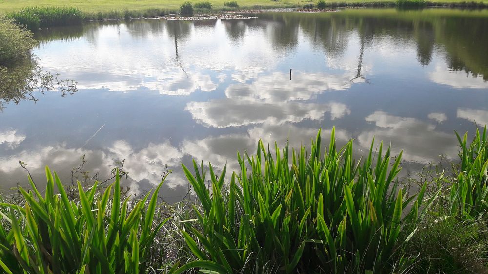 Sommeranfang unten und oben