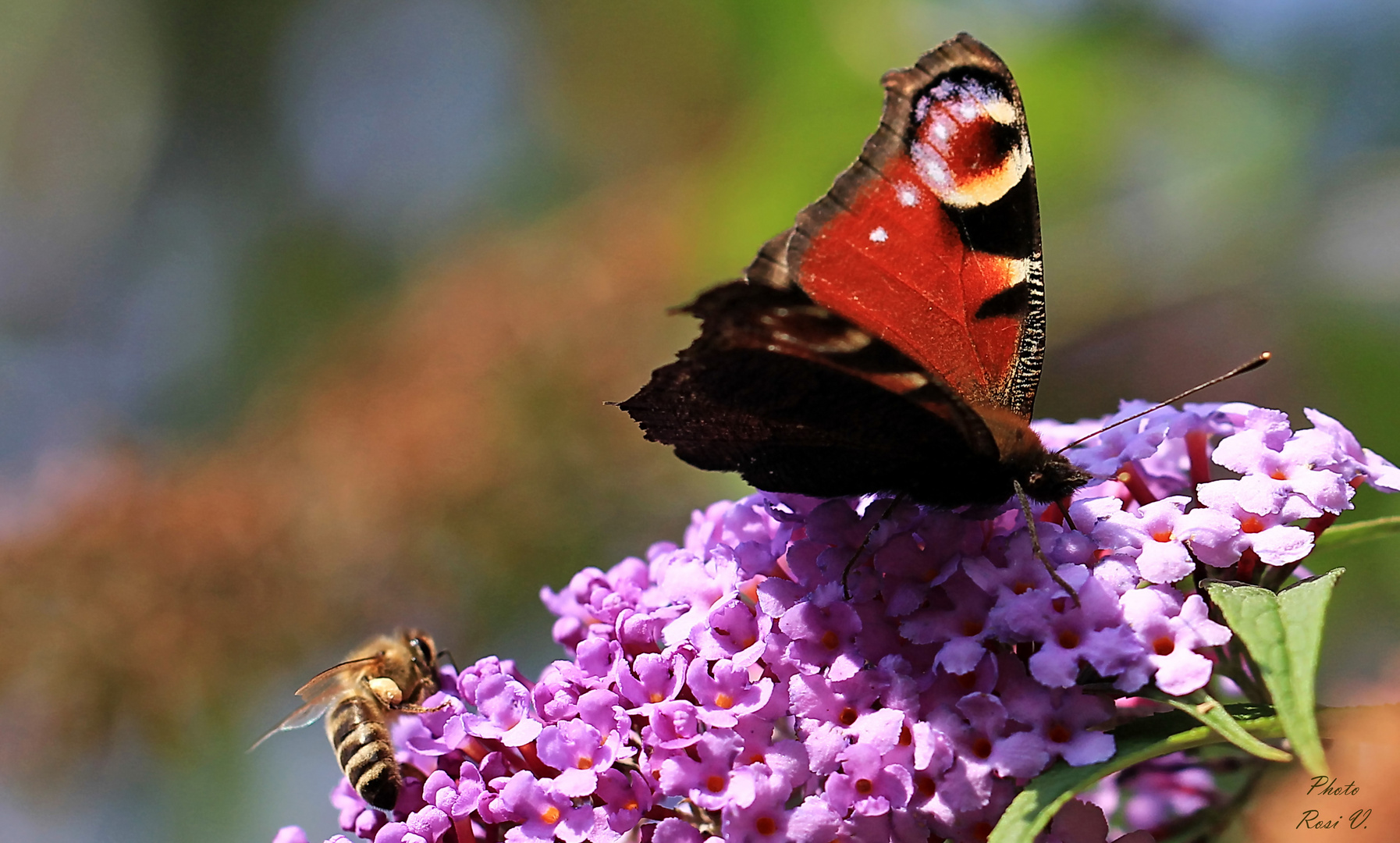 Sommerarbeiter