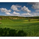 Sommerausblick