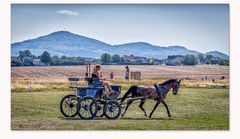 Sommerausfahrt am Siebengebirge