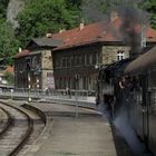 Sommerausflug mit der Bergkönigin von Blankenburg nach Rübeland 5.