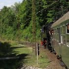 Sommerausflug mit der Bergkönigin zurück nach Blankenburg (Harz) 1.