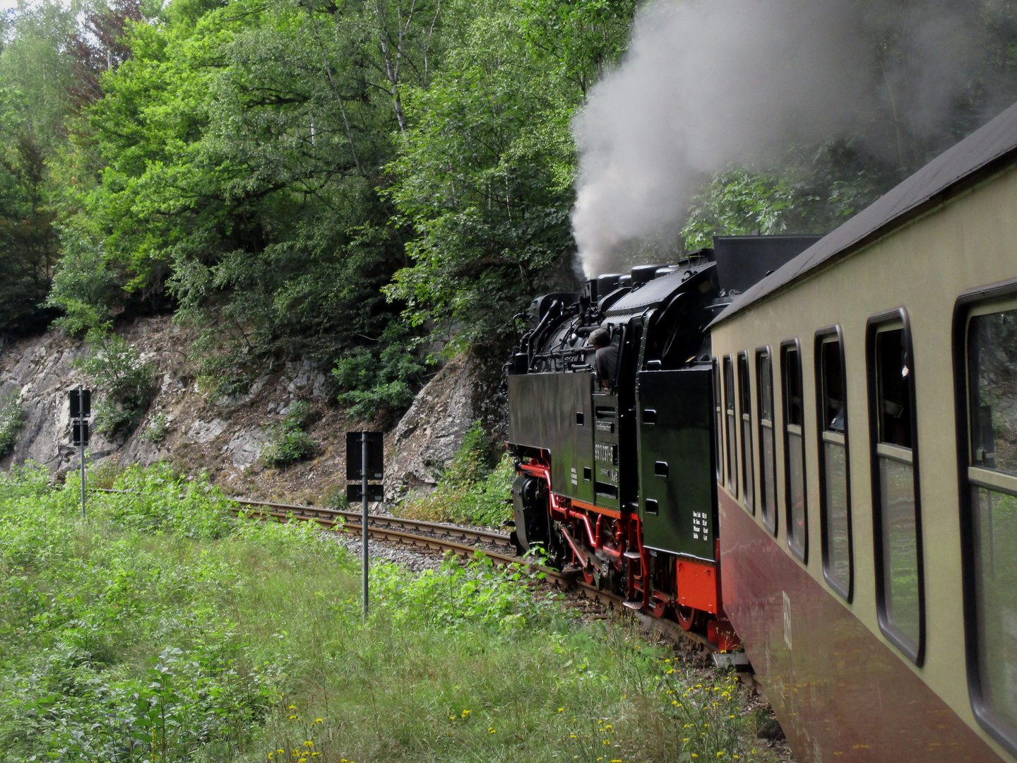 Sommerausflug mit der HSB ins Selketal 2.