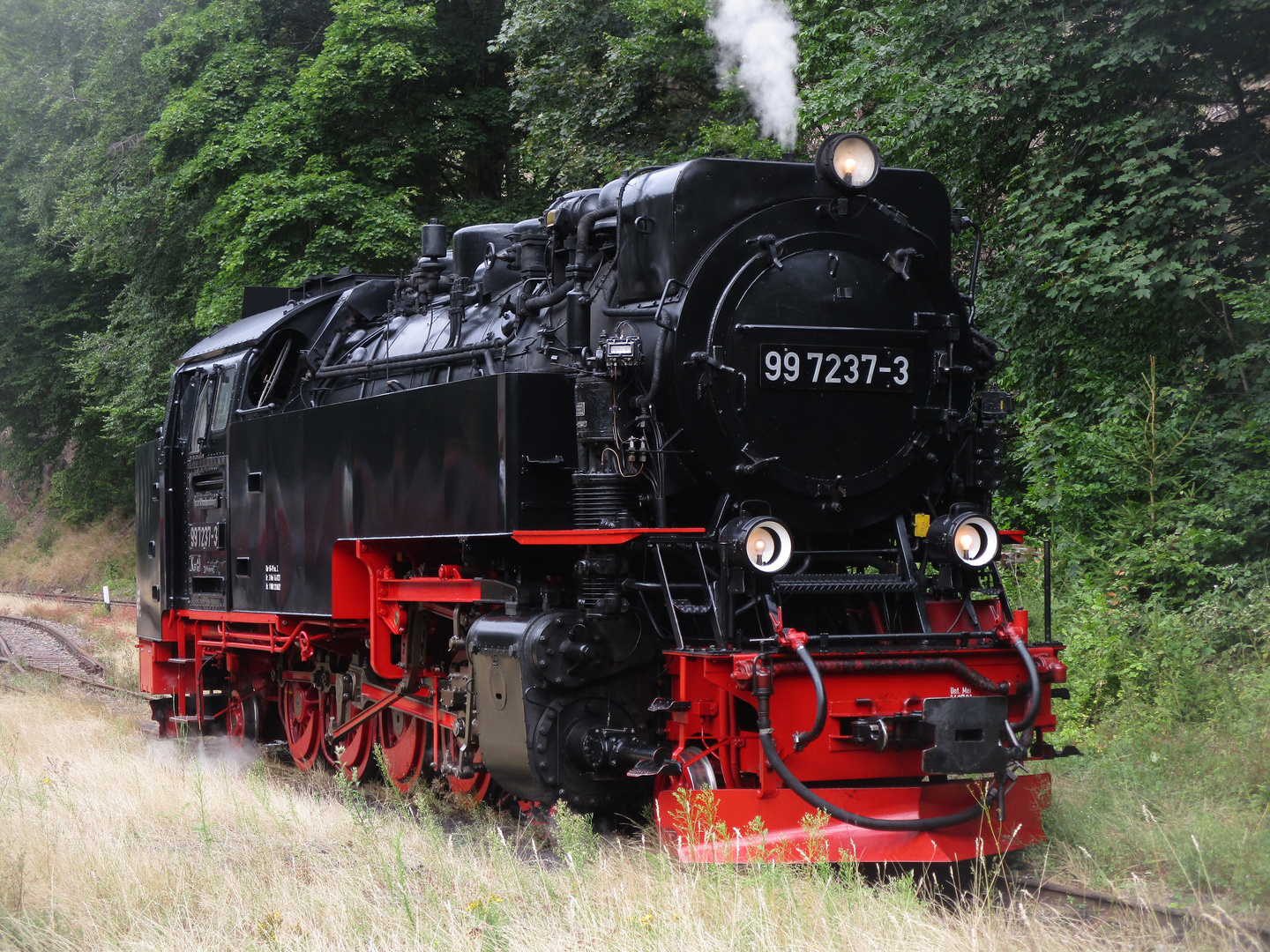 Sommerausflug mit der HSB ins Selketal 5.