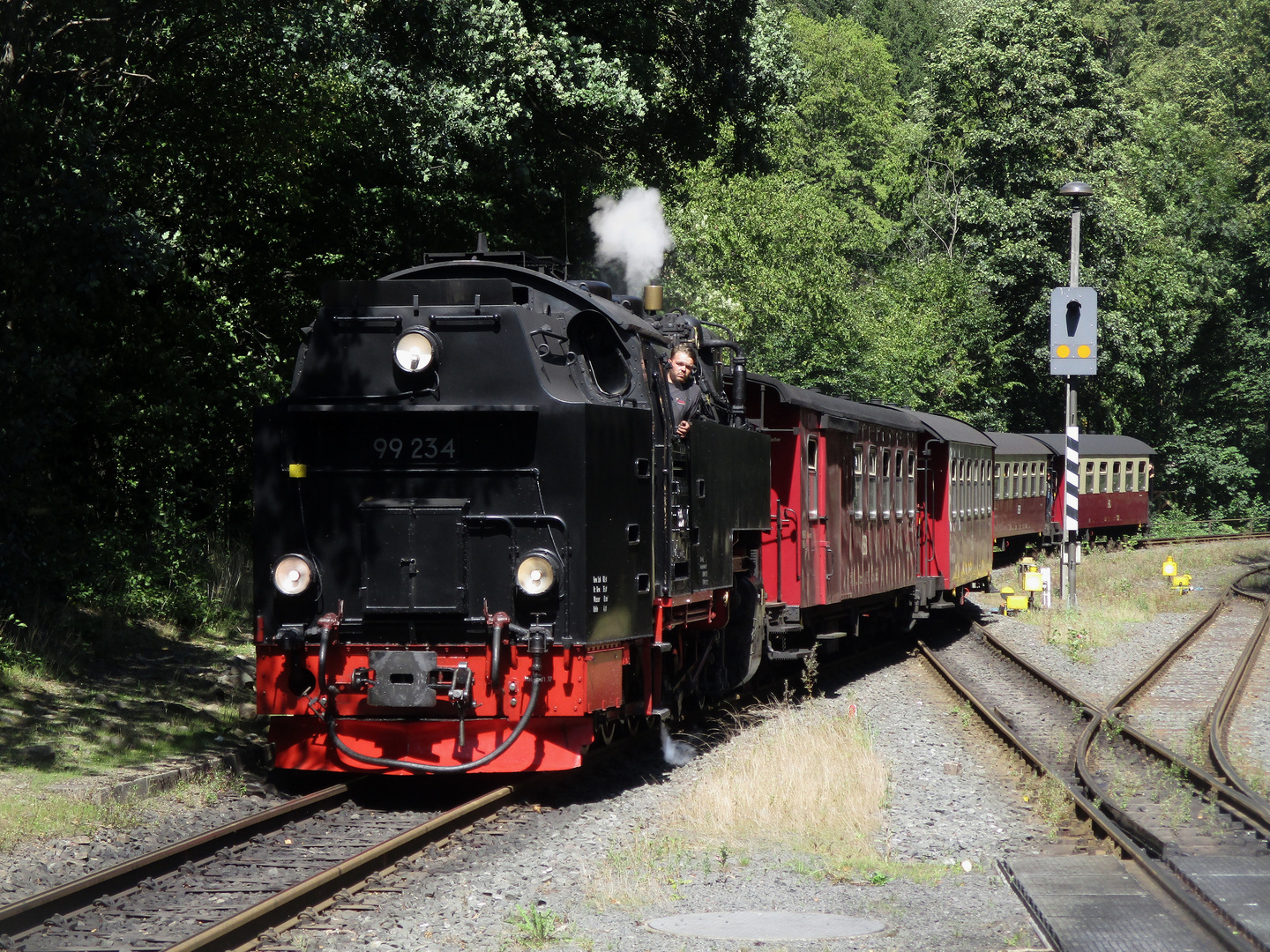 Sommerausflug mit der HSB nach Benneckenstein 1.