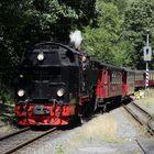 Sommerausflug mit der HSB nach Benneckenstein 1.