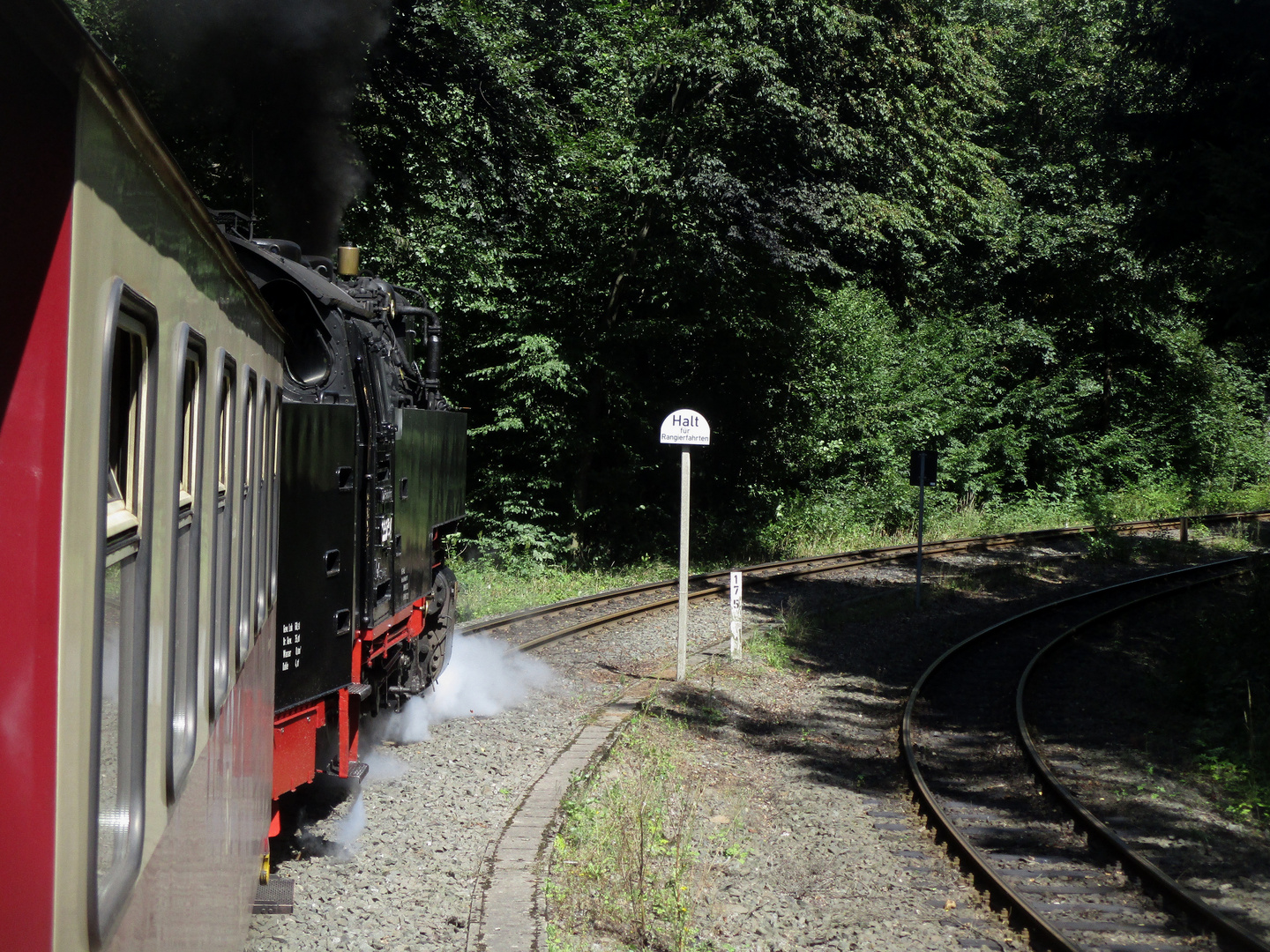 Sommerausflug mit der HSB nach Benneckenstein 3.