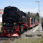 Sommerausflug mit der HSB nach Benneckenstein 4.