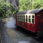 Sommerausflug mit der HSB nach Eisfelder Talmühle 2.