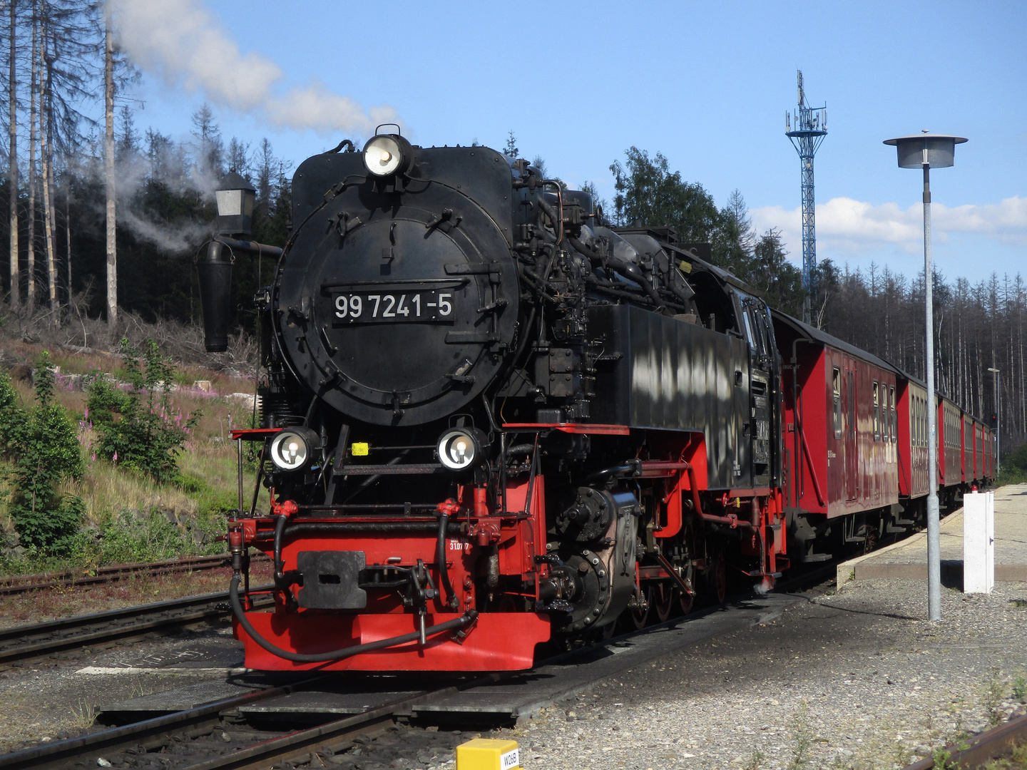 Sommerausflug mit der HSB nach Schierke 10.