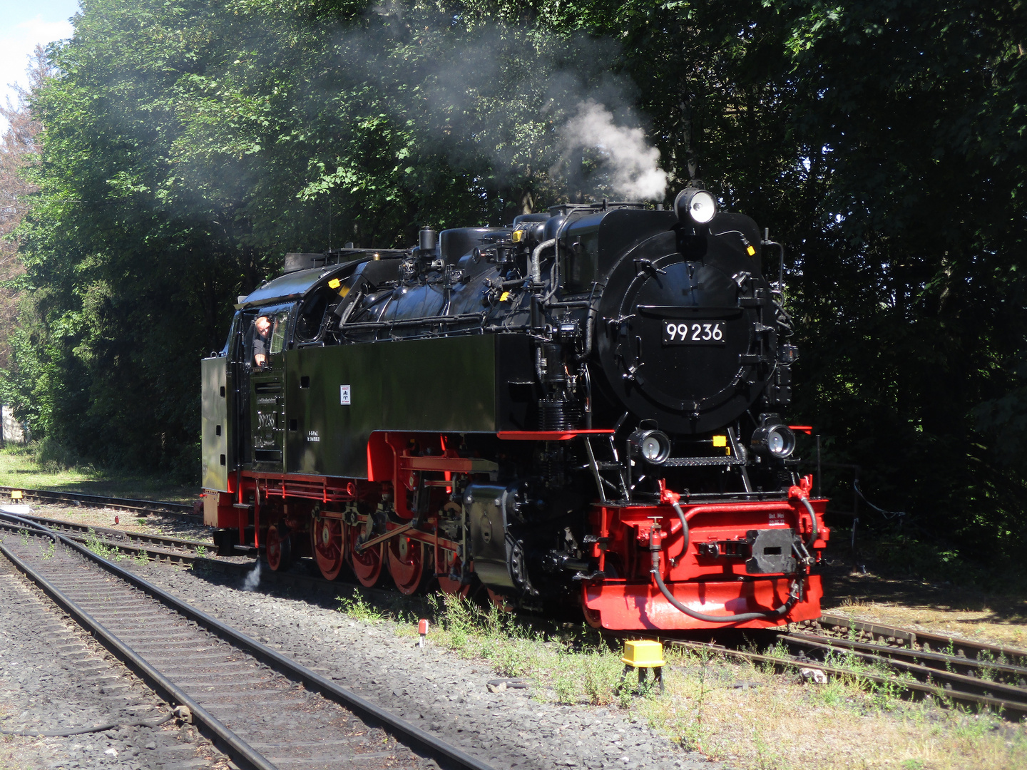 Sommerausflug mit der HSB nach Schierke 4.