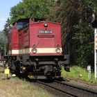 Sommerausflug mit der HSB nach Schierke 7.