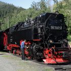 Sommerausflug mit der HSB zurück nach Nordhausen 2.