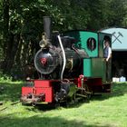 Sommerausflug zur Tagesförderbahn in Clausthal-Zellerfeld 4.