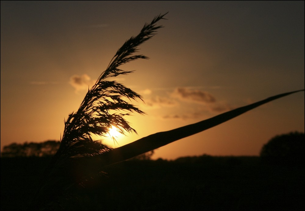 Sommerausklang