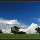 Sommerausklang vor der Haustür