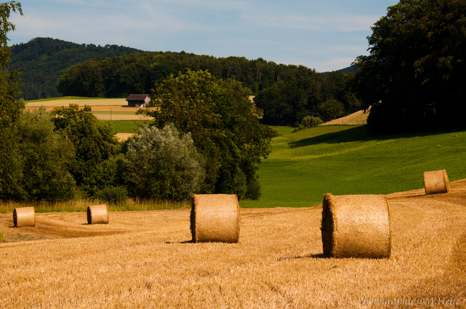 Sommerbild